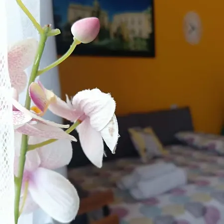 Guest house Sapore Di Sale - Sicily Syracuse